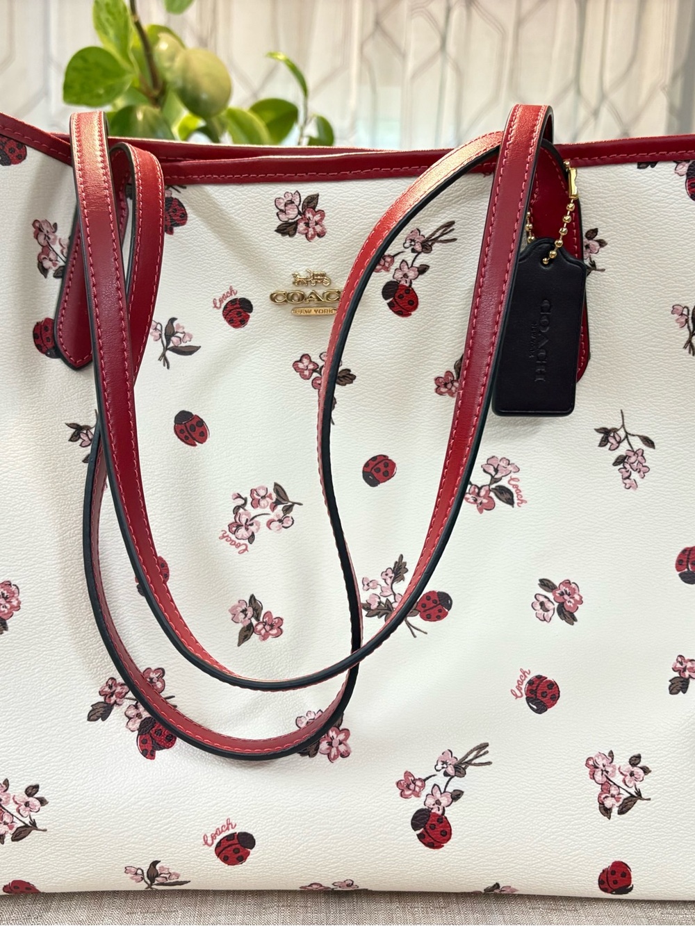 Coach Ladybug set - Picture 2 of 10